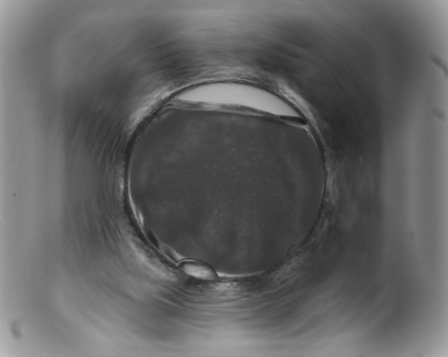 X0000098150059200805151215