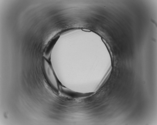 X0000098150060200805151215