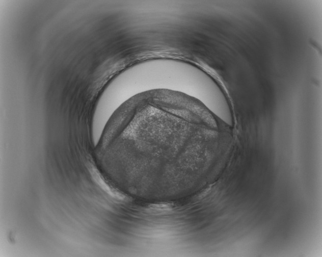 X0000098150061200805151215