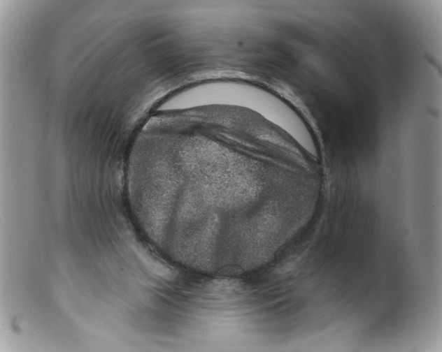 X0000098150063200805151215