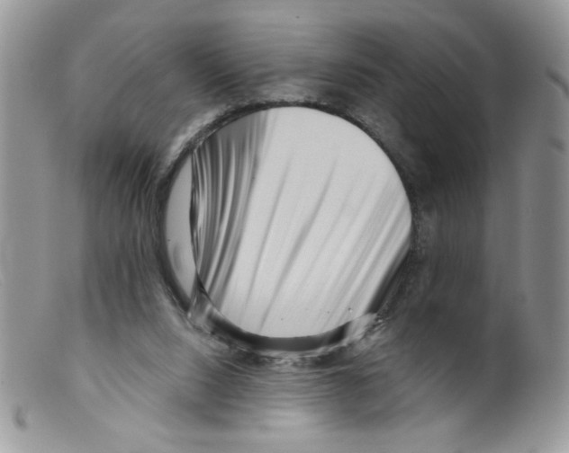 X0000098150064200805151215