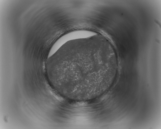 X0000098150065200805151215