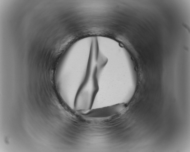 X0000098150066200805151215