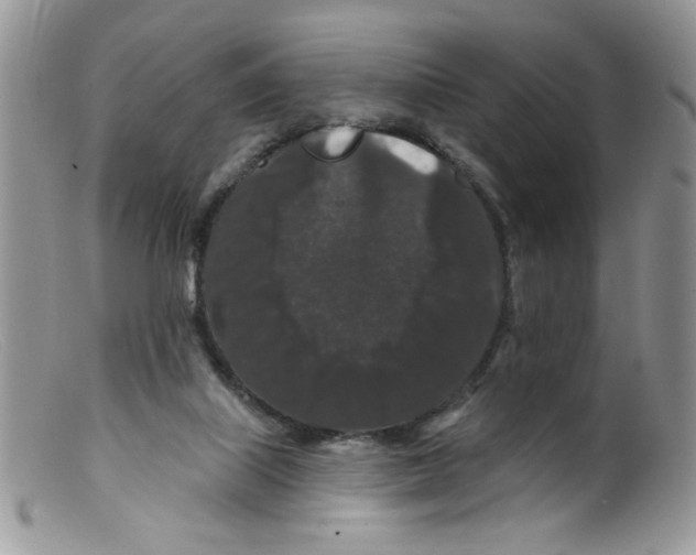 X0000098150067200805151215