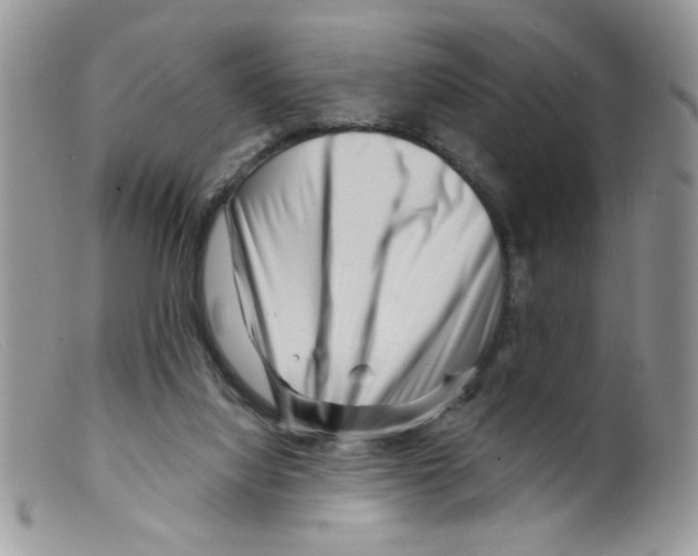 X0000098150068200805151215