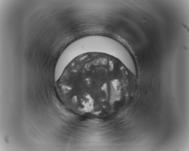 X0000098150069200805151215