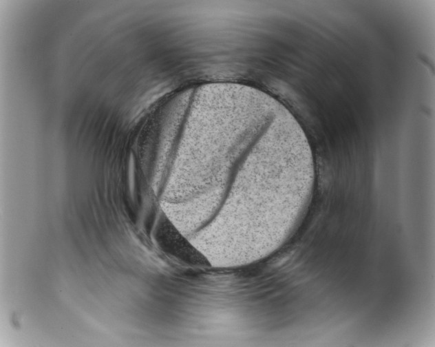 X0000098150071200805151215