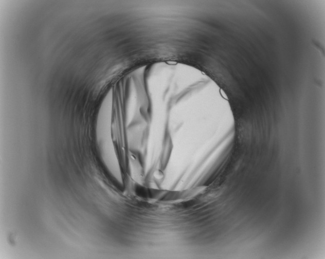 X0000098150072200805151215