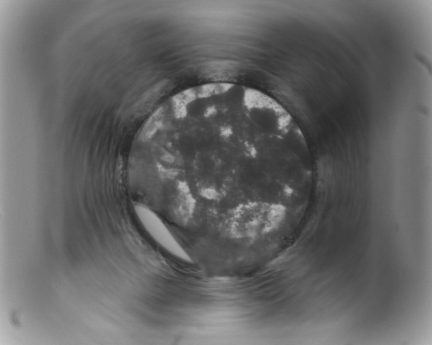 X0000098150073200805151215