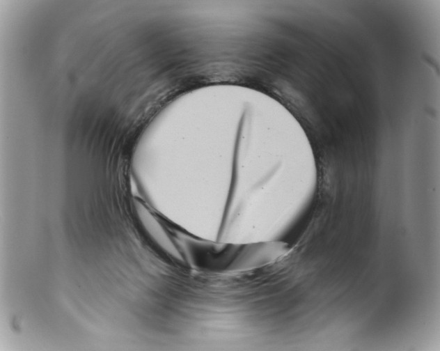 X0000098150074200805151215