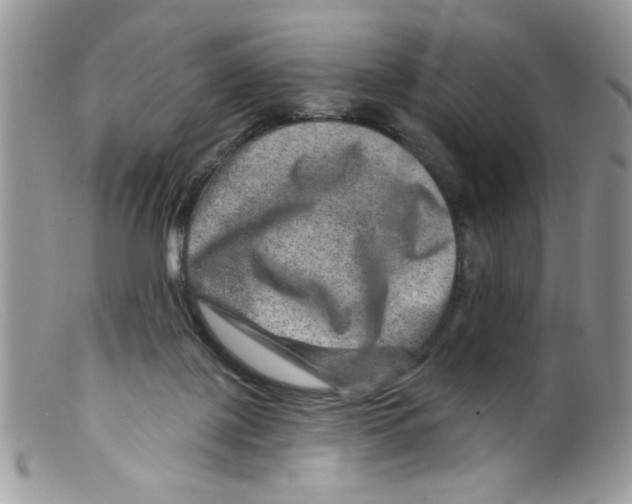 X0000098150075200805151215