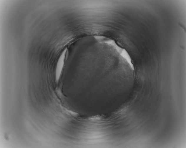 X0000098150076200805151215