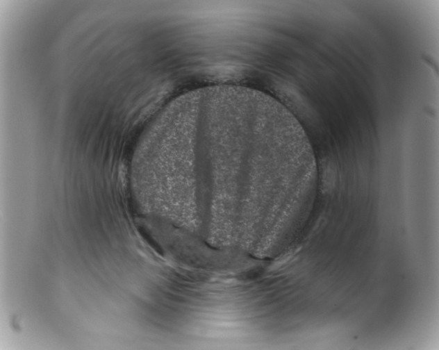 X0000098150077200805151215