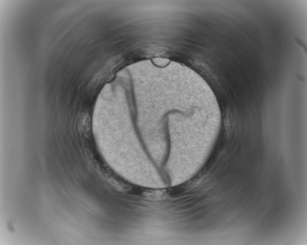 X0000098150079200805151215