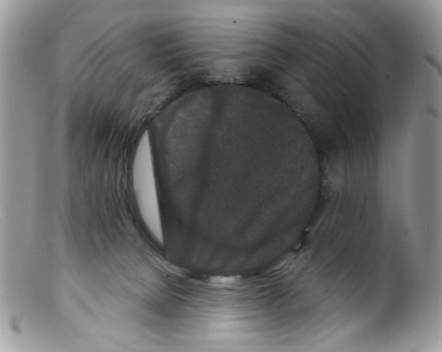 X0000098150080200805151215