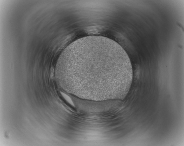 X0000098150081200805151215