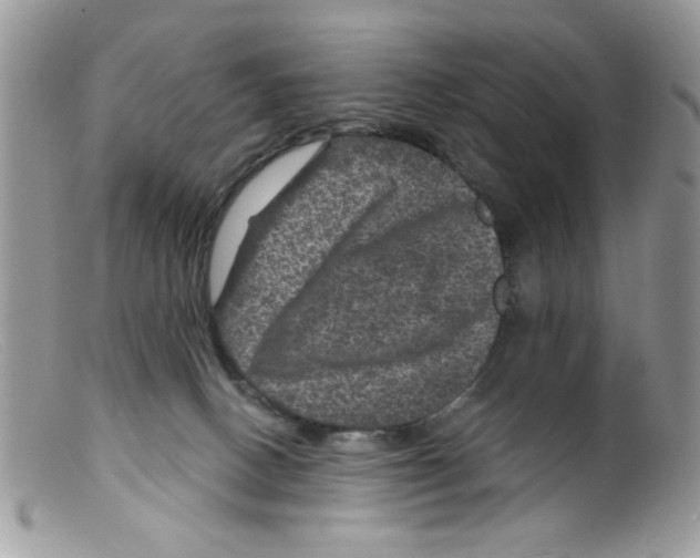 X0000098150082200805151215