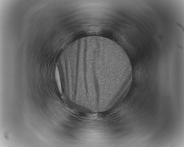 X0000098150083200805151215