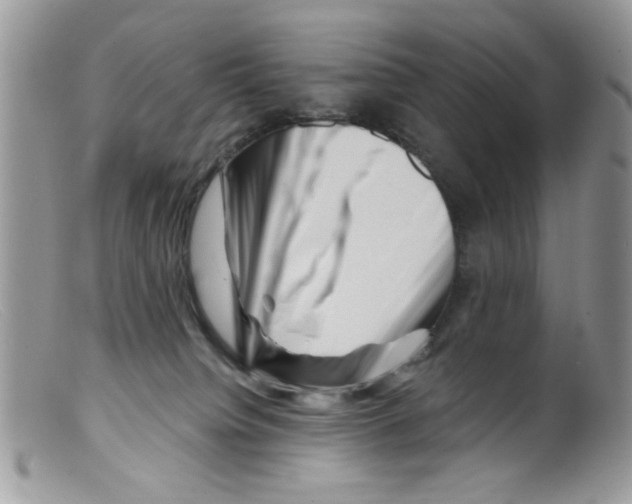 X0000098150084200805151215