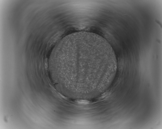 X0000098150085200805151215