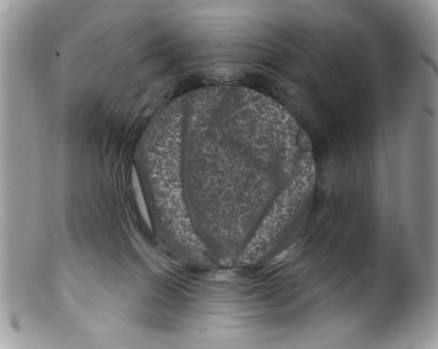 X0000098150086200805151215