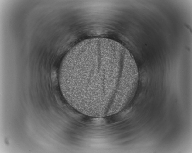 X0000098150087200805151215