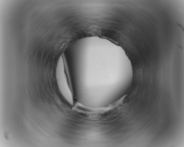 X0000098150088200805151215