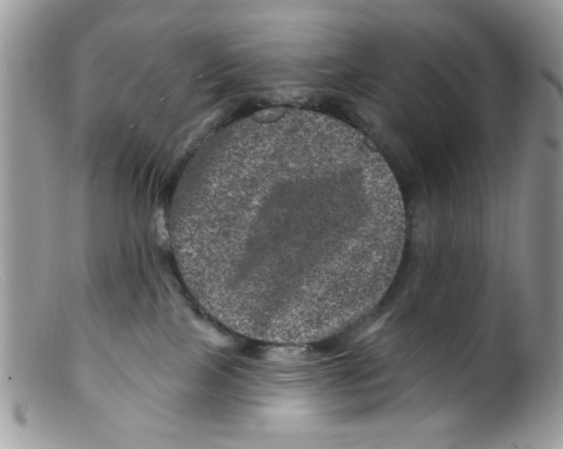 X0000098150089200805151215