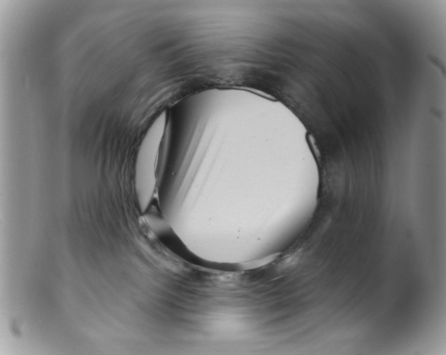 X0000098150092200805151215