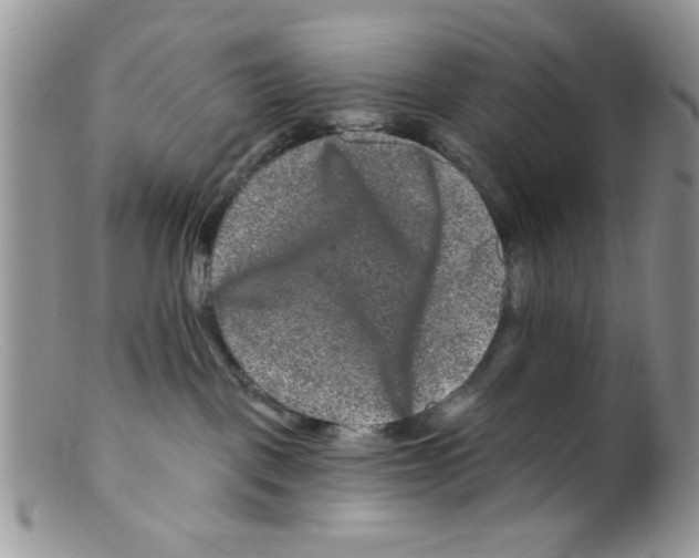 X0000098150093200805151215