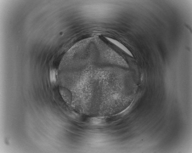 X0000098150094200805151215