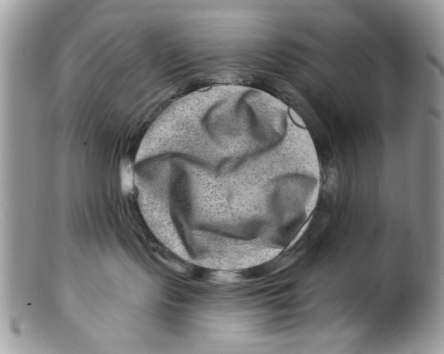 X0000098150095200805151215