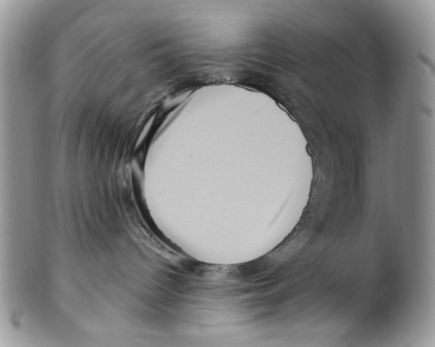 X0000098150096200805151215