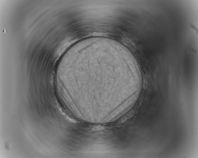 X0000098150098200805151215