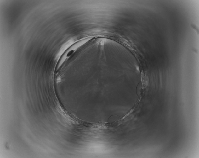 X0000098150099200805151215