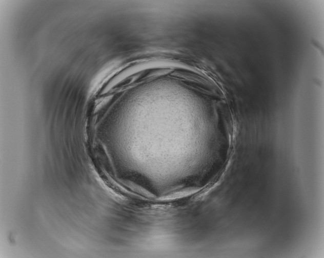 X0000098150101200805151214