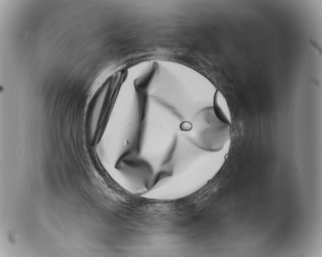 X0000098150102200805151214