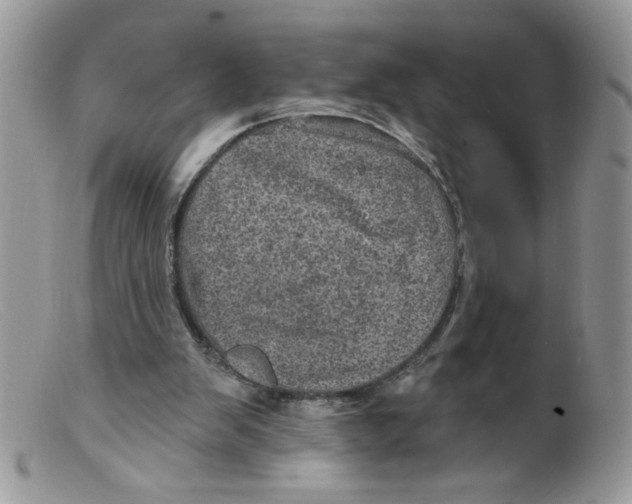 X0000098150103200805151214