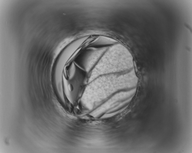 X0000098150104200805151214