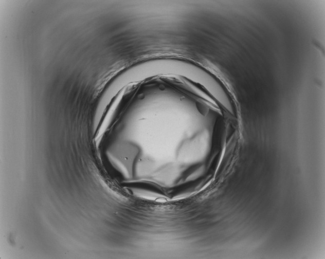 X0000098150105200805151214