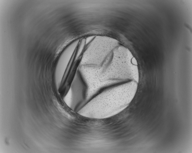 X0000098150106200805151214