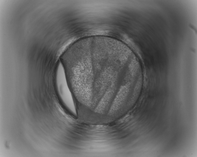 X0000098150107200805151214