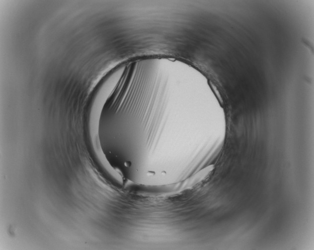 X0000098150108200805151214