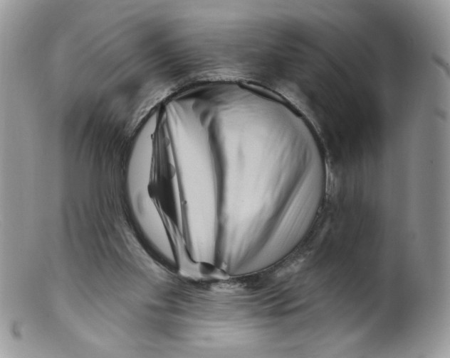 X0000098150109200805151214