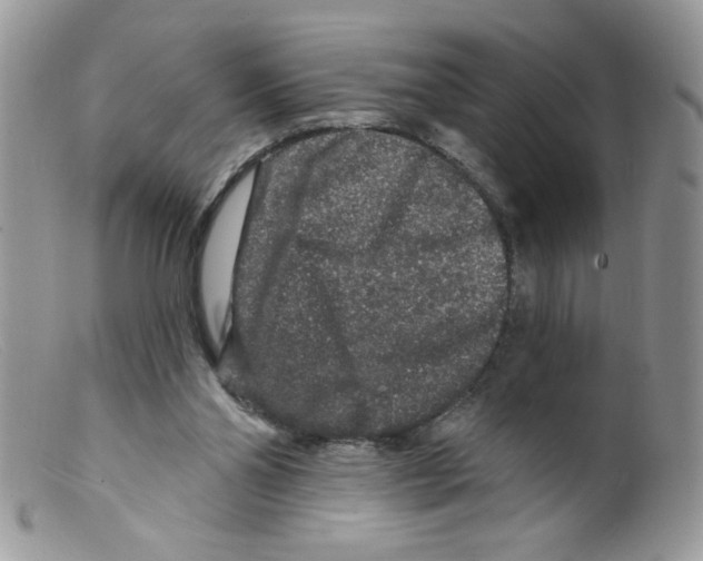 X0000098150110200805151214