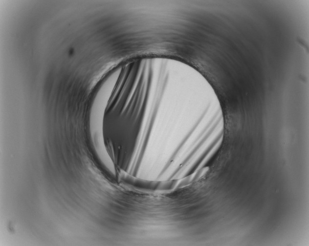 X0000098150112200805151214