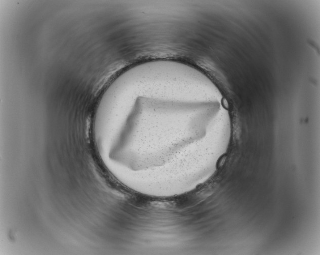 X0000098150115200805151214