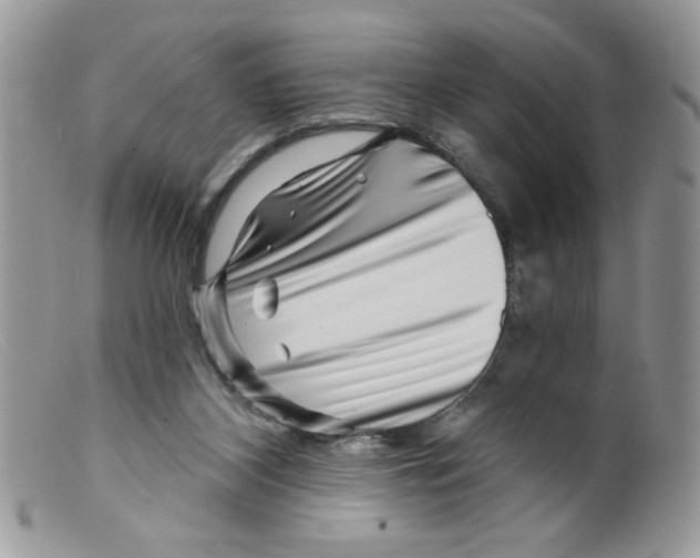 X0000098150116200805151214