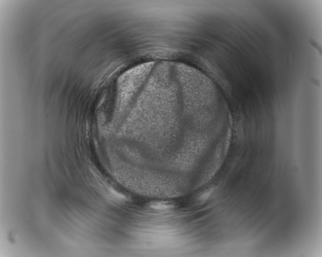 X0000098150117200805151214