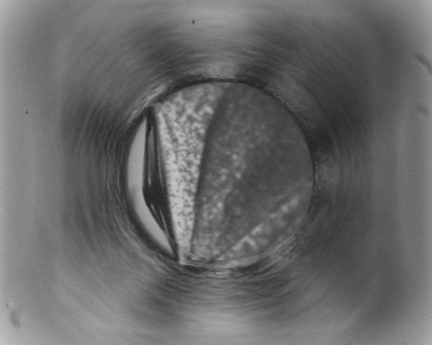 X0000098150120200805151214